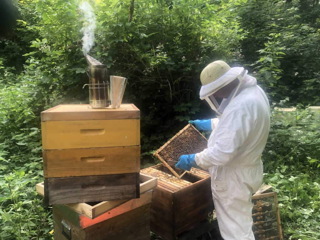 Imkerei Pottbienen aus dem Ruhrgebiet - Imker und Bienenstock